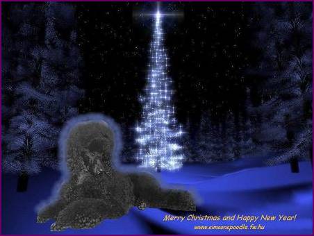 christmas card 2007.jpg