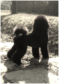 image006.jpg